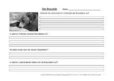 Braunbär-Fragen-1.pdf